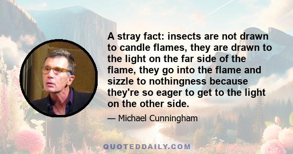 A stray fact: insects are not drawn to candle flames, they are drawn to the light on the far side of the flame, they go into the flame and sizzle to nothingness because they're so eager to get to the light on the other