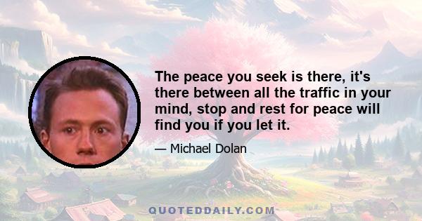 The peace you seek is there, it's there between all the traffic in your mind, stop and rest for peace will find you if you let it.