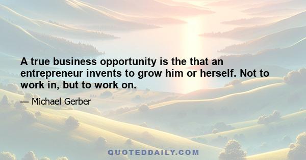 A true business opportunity is the that an entrepreneur invents to grow him or herself. Not to work in, but to work on.