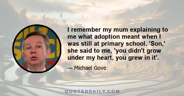 I remember my mum explaining to me what adoption meant when I was still at primary school. 'Son,' she said to me, 'you didn't grow under my heart, you grew in it'.