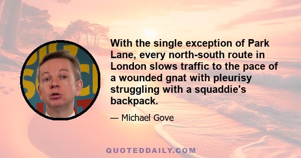 With the single exception of Park Lane, every north-south route in London slows traffic to the pace of a wounded gnat with pleurisy struggling with a squaddie's backpack.