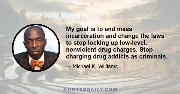 My goal is to end mass incarceration and change the laws to stop locking up low-level, nonviolent drug charges. Stop charging drug addicts as criminals.