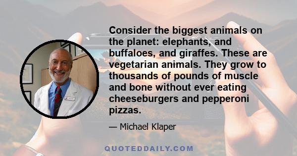 Consider the biggest animals on the planet: elephants, and buffaloes, and giraffes. These are vegetarian animals. They grow to thousands of pounds of muscle and bone without ever eating cheeseburgers and pepperoni