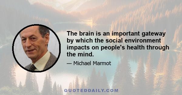 The brain is an important gateway by which the social environment impacts on people's health through the mind.