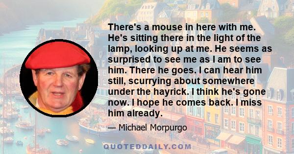 There's a mouse in here with me. He's sitting there in the light of the lamp, looking up at me. He seems as surprised to see me as I am to see him. There he goes. I can hear him still, scurrying about somewhere under