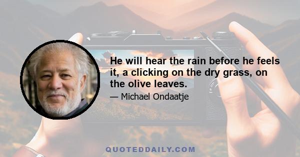 He will hear the rain before he feels it, a clicking on the dry grass, on the olive leaves.