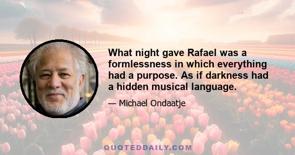 What night gave Rafael was a formlessness in which everything had a purpose. As if darkness had a hidden musical language.