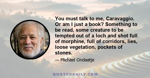 You must talk to me, Caravaggio. Or am I just a book? Something to be read, some creature to be tempted out of a loch and shot full of morphine, full of corridors, lies, loose vegetation, pockets of stones.