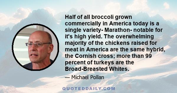 Half of all broccoli grown commercially in America today is a single variety- Marathon- notable for it's high yield. The overwhelming majority of the chickens raised for meat in America are the same hybrid, the Cornish