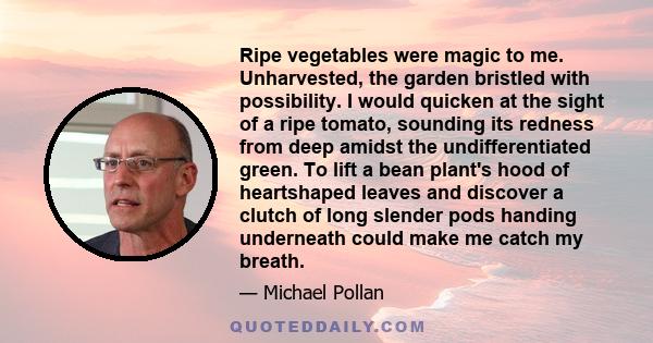 Ripe vegetables were magic to me. Unharvested, the garden bristled with possibility. I would quicken at the sight of a ripe tomato, sounding its redness from deep amidst the undifferentiated green. To lift a bean