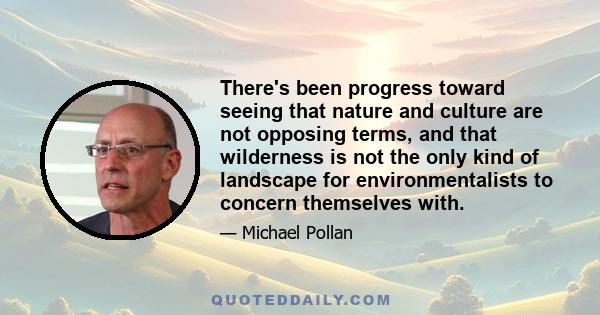 There's been progress toward seeing that nature and culture are not opposing terms, and that wilderness is not the only kind of landscape for environmentalists to concern themselves with.