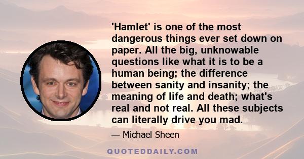 'Hamlet' is one of the most dangerous things ever set down on paper. All the big, unknowable questions like what it is to be a human being; the difference between sanity and insanity; the meaning of life and death;