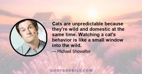 Cats are unpredictable because they're wild and domestic at the same time. Watching a cat's behavior is like a small window into the wild.