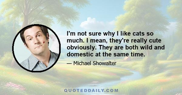 I'm not sure why I like cats so much. I mean, they're really cute obviously. They are both wild and domestic at the same time.