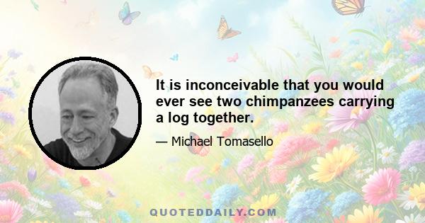 It is inconceivable that you would ever see two chimpanzees carrying a log together.