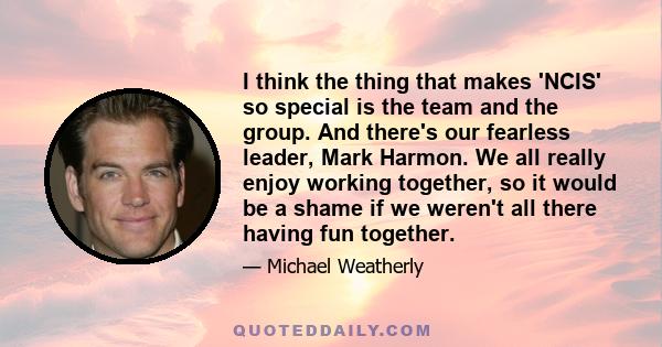 I think the thing that makes 'NCIS' so special is the team and the group. And there's our fearless leader, Mark Harmon. We all really enjoy working together, so it would be a shame if we weren't all there having fun