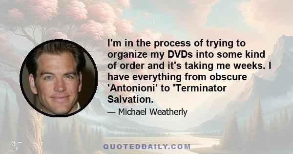 I'm in the process of trying to organize my DVDs into some kind of order and it's taking me weeks. I have everything from obscure 'Antonioni' to 'Terminator Salvation.