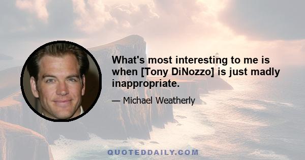 What's most interesting to me is when [Tony DiNozzo] is just madly inappropriate.