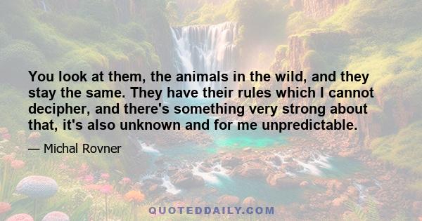 You look at them, the animals in the wild, and they stay the same. They have their rules which I cannot decipher, and there's something very strong about that, it's also unknown and for me unpredictable.