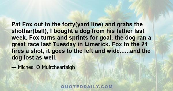 Pat Fox out to the forty(yard line) and grabs the sliothar(ball), I bought a dog from his father last week. Fox turns and sprints for goal, the dog ran a great race last Tuesday in Limerick. Fox to the 21 fires a shot,