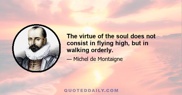 The virtue of the soul does not consist in flying high, but in walking orderly.