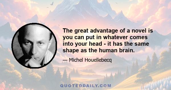 The great advantage of a novel is you can put in whatever comes into your head - it has the same shape as the human brain.