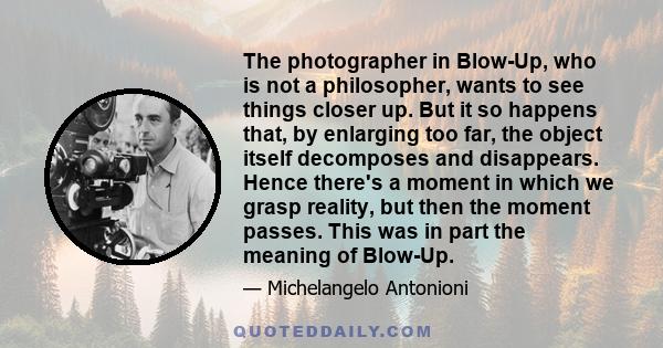 The photographer in Blow-Up, who is not a philosopher, wants to see things closer up. But it so happens that, by enlarging too far, the object itself decomposes and disappears. Hence there's a moment in which we grasp