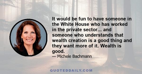 It would be fun to have someone in the White House who has worked in the private sector... and someone who understands that wealth creation is a good thing and they want more of it. Wealth is good.