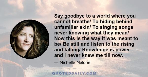 Say goodbye to a world where you cannot breathe/ To hiding behind unfamiliar skin/ To singing songs never knowing what they mean/ Now this is the way it was meant to be/ Be still and listen to the rising and falling/