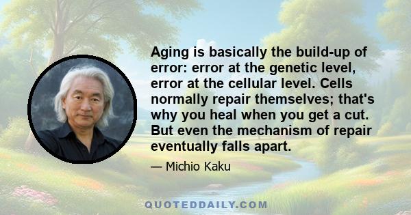 Aging is basically the build-up of error: error at the genetic level, error at the cellular level. Cells normally repair themselves; that's why you heal when you get a cut. But even the mechanism of repair eventually