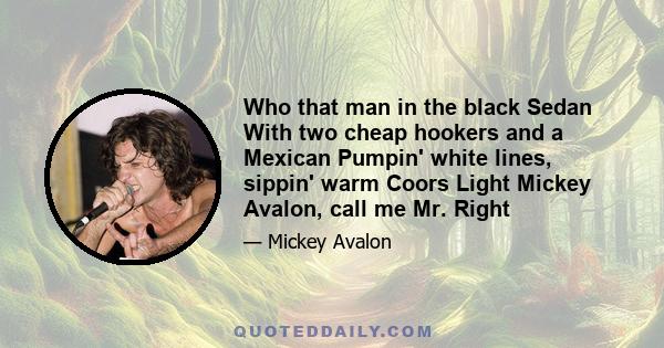 Who that man in the black Sedan With two cheap hookers and a Mexican Pumpin' white lines, sippin' warm Coors Light Mickey Avalon, call me Mr. Right