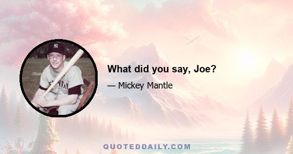 What did you say, Joe?