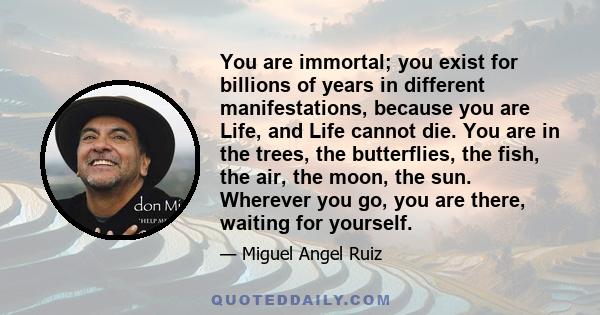 You are immortal; you exist for billions of years in different manifestations, because you are Life, and Life cannot die. You are in the trees, the butterflies, the fish, the air, the moon, the sun. Wherever you go, you 