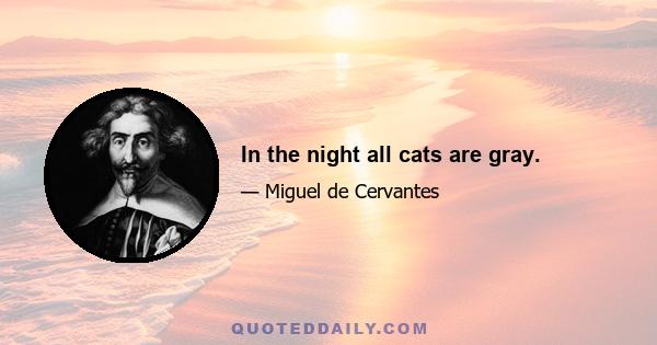 In the night all cats are gray.