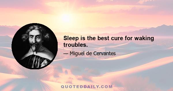 Sleep is the best cure for waking troubles.