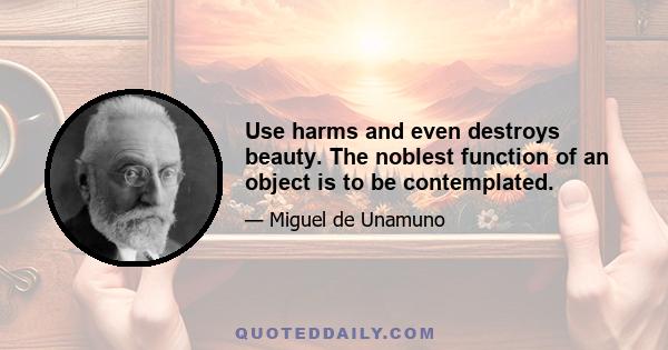 Use harms and even destroys beauty. The noblest function of an object is to be contemplated.