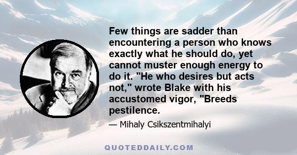 Few things are sadder than encountering a person who knows exactly what he should do, yet cannot muster enough energy to do it. He who desires but acts not, wrote Blake with his accustomed vigor, Breeds pestilence.