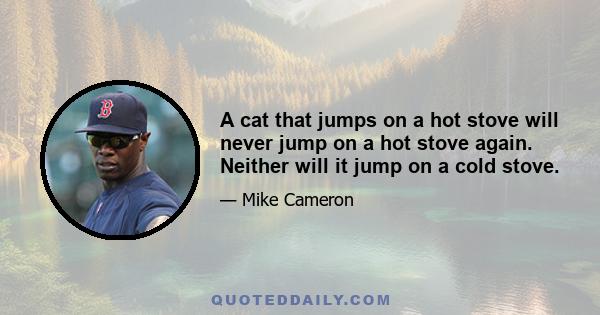 A cat that jumps on a hot stove will never jump on a hot stove again. Neither will it jump on a cold stove.