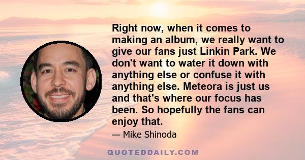 Right now, when it comes to making an album, we really want to give our fans just Linkin Park. We don't want to water it down with anything else or confuse it with anything else. Meteora is just us and that's where our