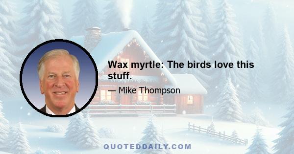 Wax myrtle: The birds love this stuff.