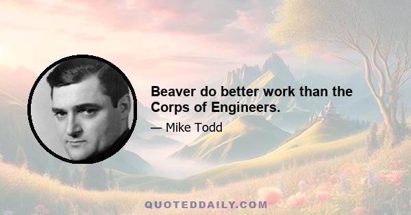 Beaver do better work than the Corps of Engineers.