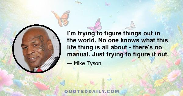 I'm trying to figure things out in the world. No one knows what this life thing is all about - there's no manual. Just trying to figure it out.