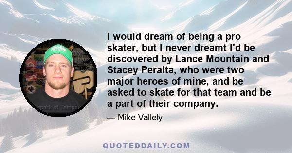 I would dream of being a pro skater, but I never dreamt I'd be discovered by Lance Mountain and Stacey Peralta, who were two major heroes of mine, and be asked to skate for that team and be a part of their company.