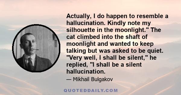 Actually, I do happen to resemble a hallucination. Kindly note my silhouette in the moonlight. The cat climbed into the shaft of moonlight and wanted to keep talking but was asked to be quiet. Very well, I shall be