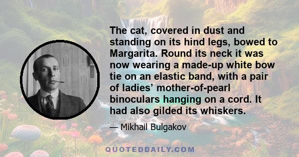 The cat, covered in dust and standing on its hind legs, bowed to Margarita. Round its neck it was now wearing a made-up white bow tie on an elastic band, with a pair of ladies’ mother-of-pearl binoculars hanging on a