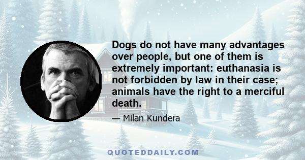 Dogs do not have many advantages over people, but one of them is extremely important: euthanasia is not forbidden by law in their case; animals have the right to a merciful death.