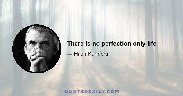 There is no perfection only life