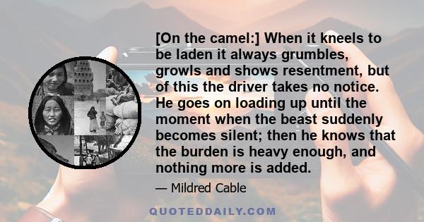 [On the camel:] When it kneels to be laden it always grumbles, growls and shows resentment, but of this the driver takes no notice. He goes on loading up until the moment when the beast suddenly becomes silent; then he