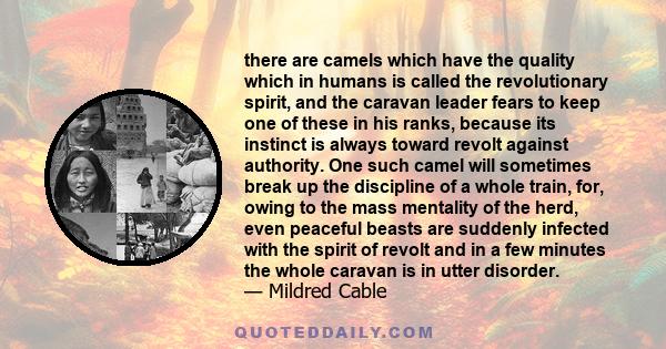 there are camels which have the quality which in humans is called the revolutionary spirit, and the caravan leader fears to keep one of these in his ranks, because its instinct is always toward revolt against authority. 