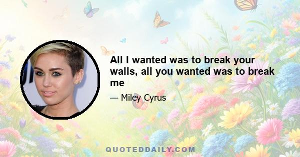 All I wanted was to break your walls, all you wanted was to break me